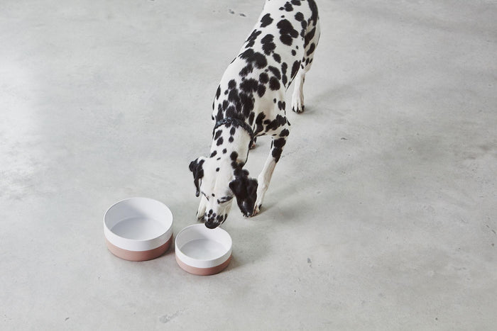Coppa hondenvoerbak medium|large Ø21.5 slate