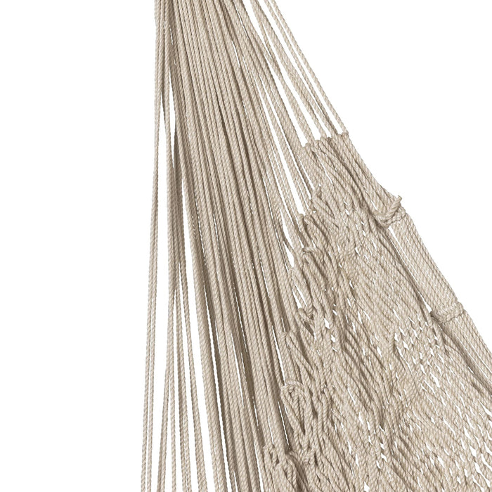 322203-x03-202401230422-C.jpg (7860961) 