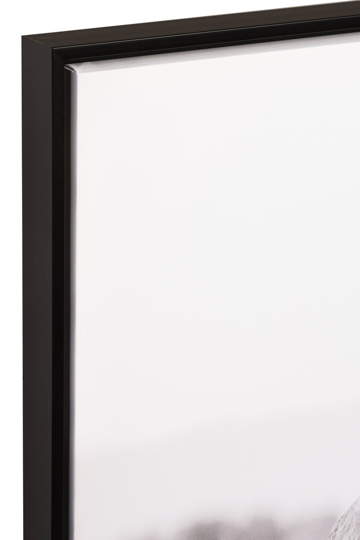 75e7410e-e184-45a1-958e-3a49851e82ff-sfeerbeeld.jpg (7895849) 