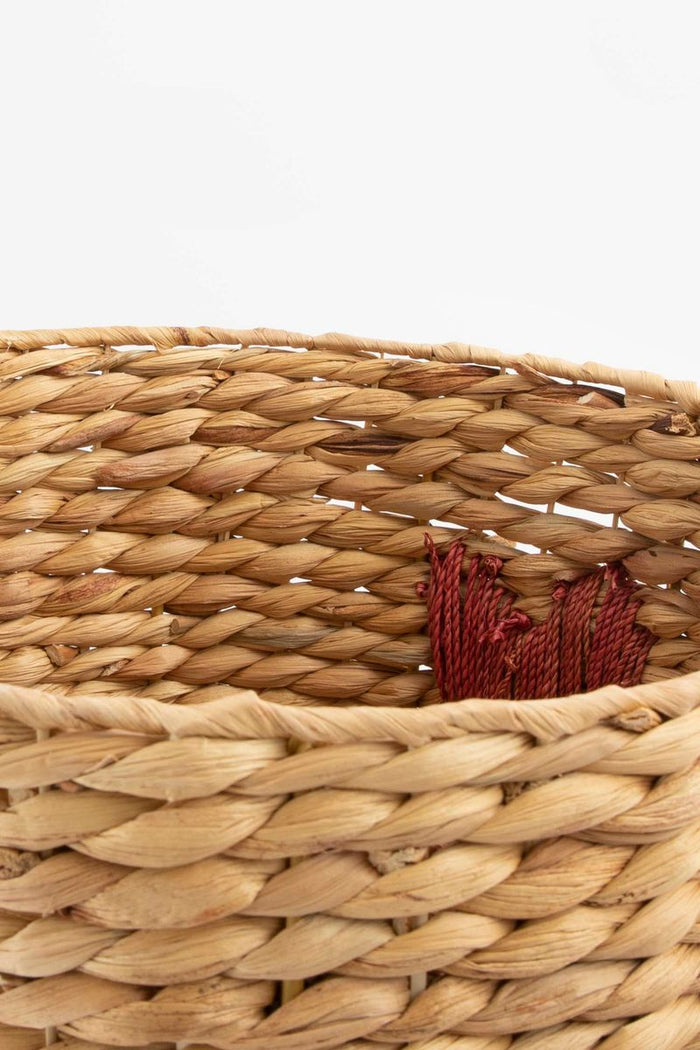 49d96c00-7b71-44ed-bae4-bbcf4ff32645-afbeelding12.jpg (7896673) 