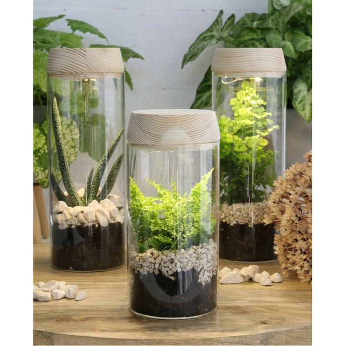 7fa8566f-651a-49d0-9bb6-d7cdcac4d724-afbeelding3.jpg (7904223) 