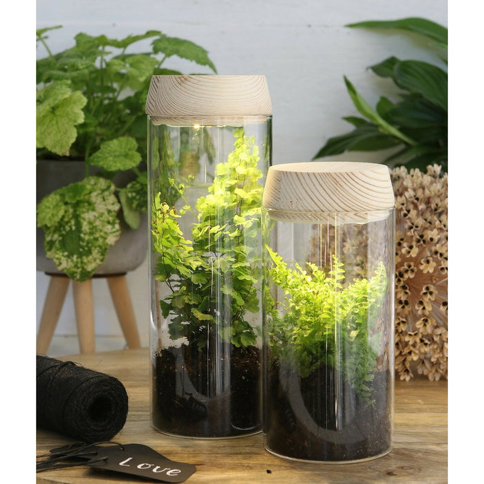 7fa8566f-651a-49d0-9bb6-d7cdcac4d724-afbeelding5.jpg (7904225) 