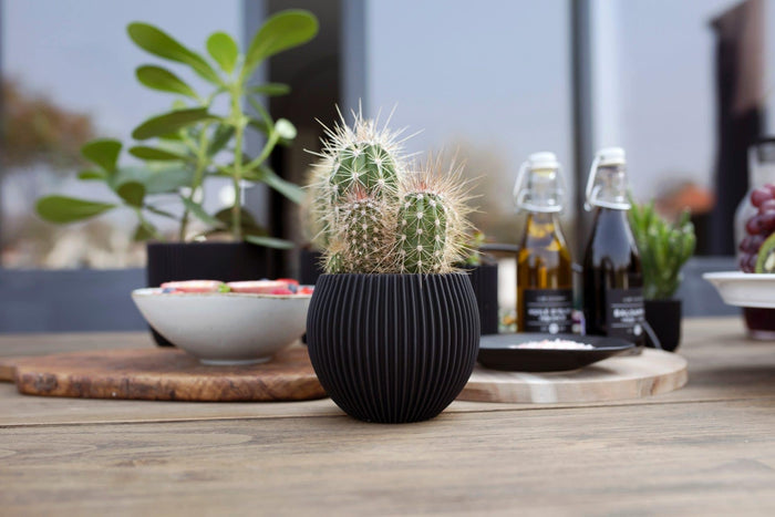 f3239b23-8bcc-4728-9efa-e343ce32851e-afbeelding5.jpg (7904403) 