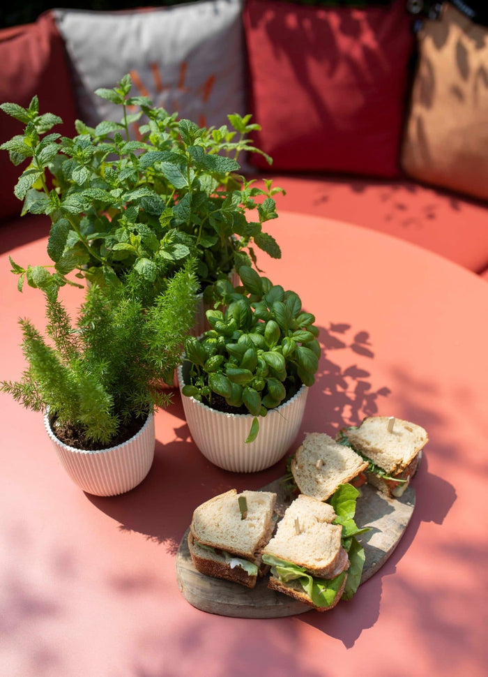 38c73395-223d-499d-966e-011f3c914c4f-afbeelding3.jpg (7904627) 