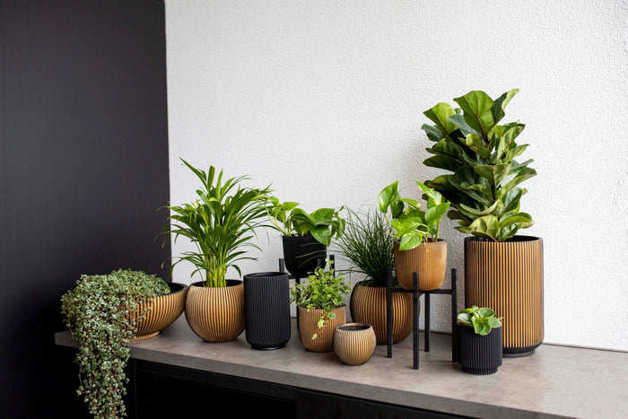 def96863-20da-4763-851c-acad61cf710c-sfeerbeeld.jpg (7904813) 