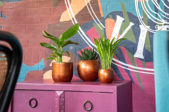 1eb51b45-e0a6-4de3-80b2-8f29fe81a5cd-sfeerbeeld.jpg (7904850) 