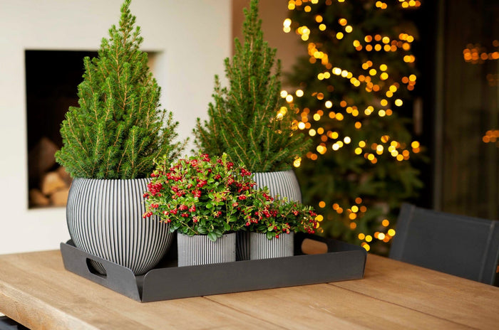 f42af066-d1b2-4108-a9bf-e499261511ec-afbeelding6.jpg (7904860) 