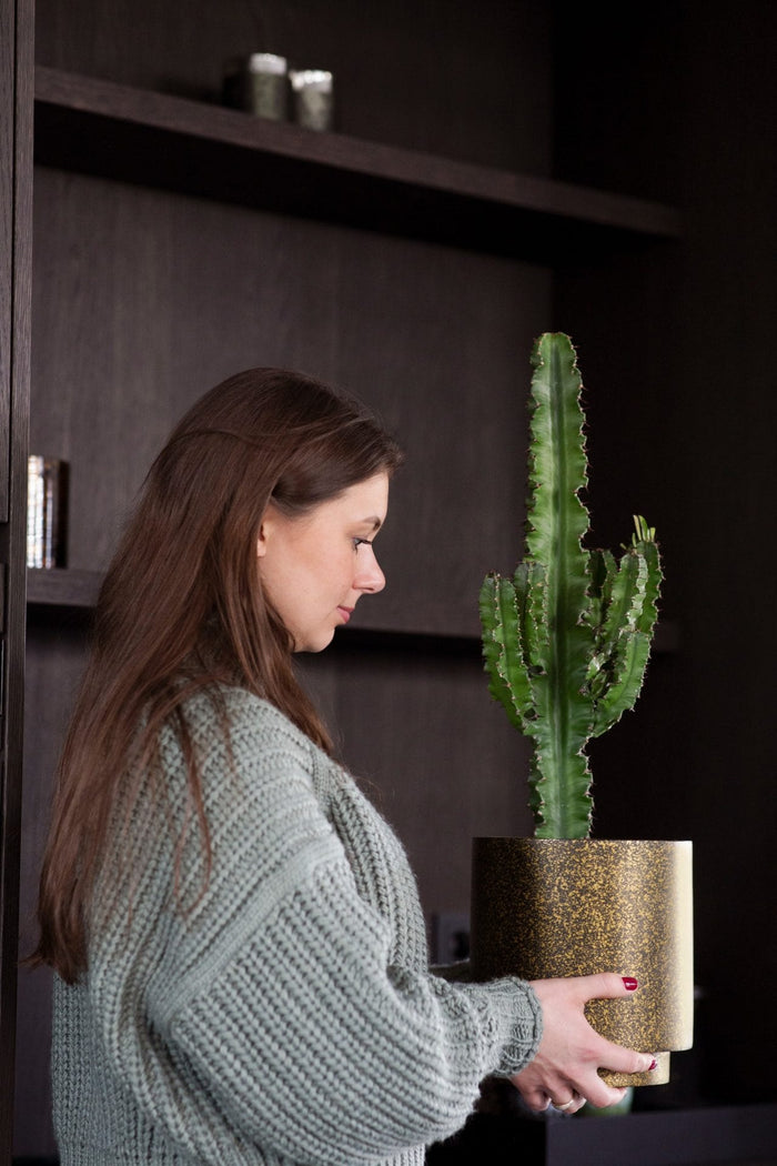 53c9d052-8a3a-4aa1-afe8-b4363532d27b-afbeelding6.jpg (7904866) 