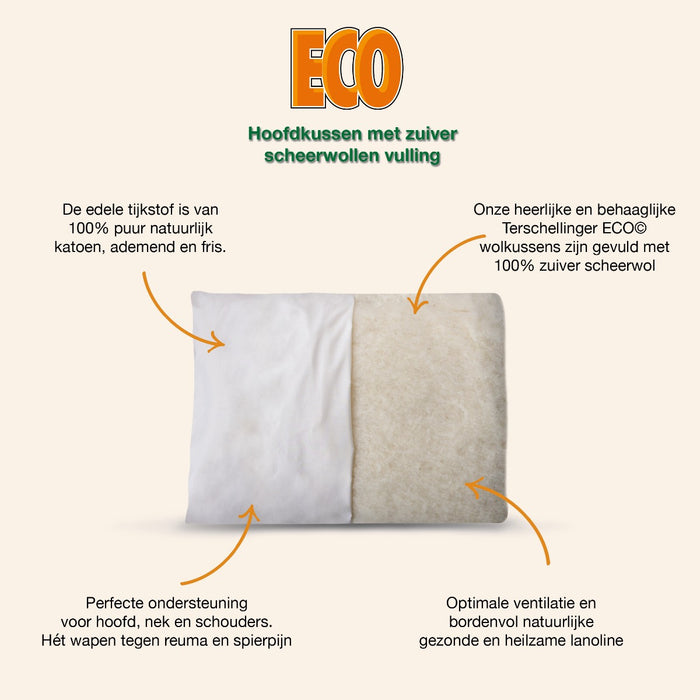 Terschellinger Wolweelde - Wol Kussen- 70x60cm