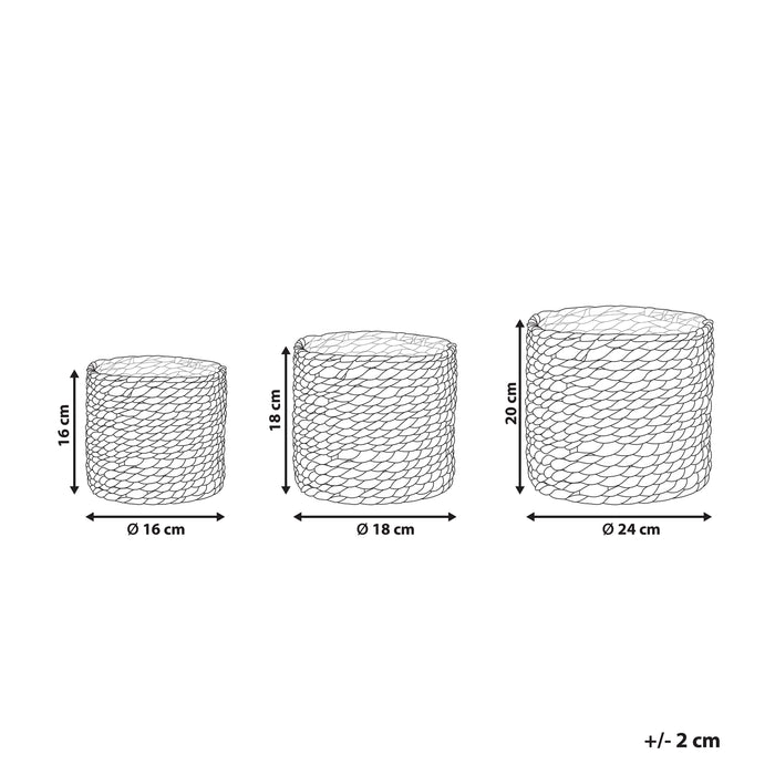 7e5127d1-46ee-4897-843f-e63bad930d45-afbeelding11.jpg (7905588) 