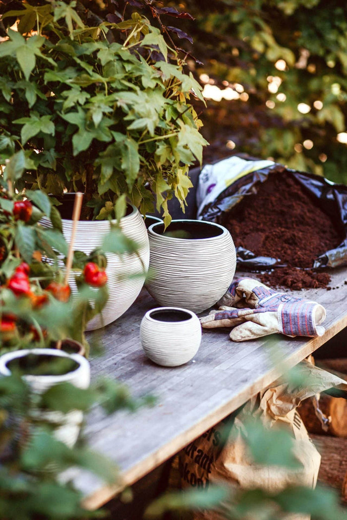 82545176-0edb-4570-a634-5cbb8afbab16-afbeelding6.jpg (7907198) 