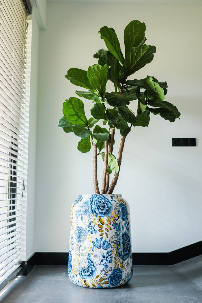 2abd2ff1-8cc7-4eaf-bc5d-246eb441b8c6-sfeerbeeld.jpg (7907200) 