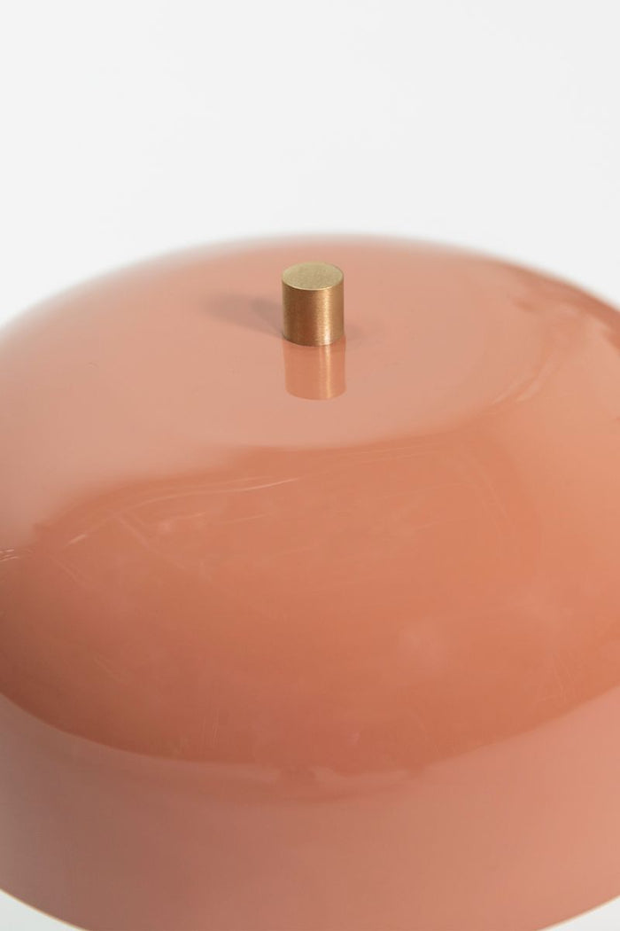 2f5769d9-0855-409c-b080-d6ab0a26e9ff-afbeelding3.jpg (7907432) 