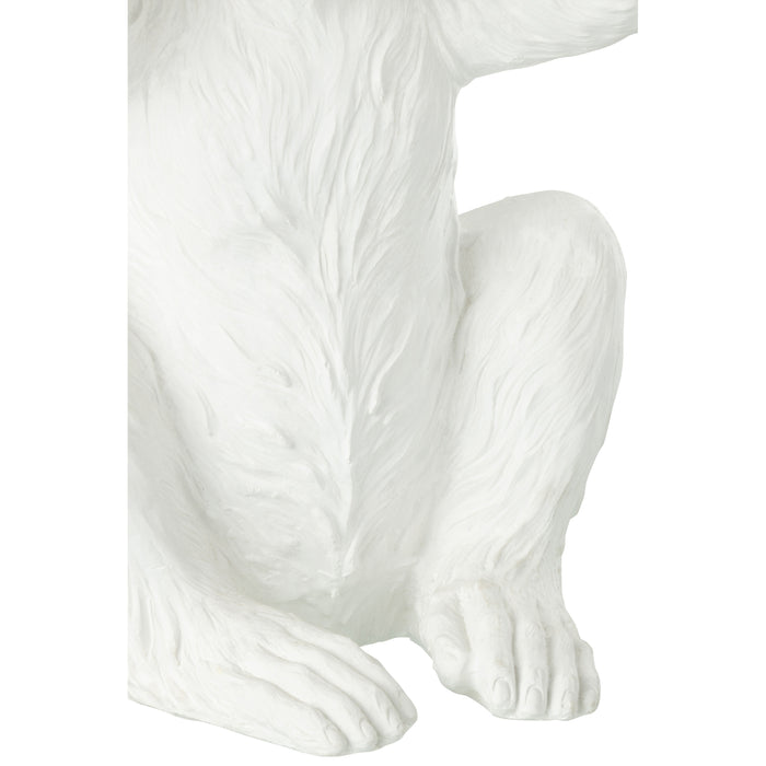 J-Line decoratie Bol Pike - schelpen - wit - small - 2 stuks