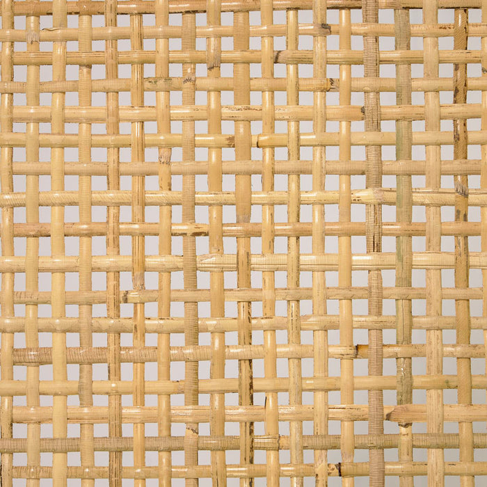 313550-x10-2.jpg (7918396) 