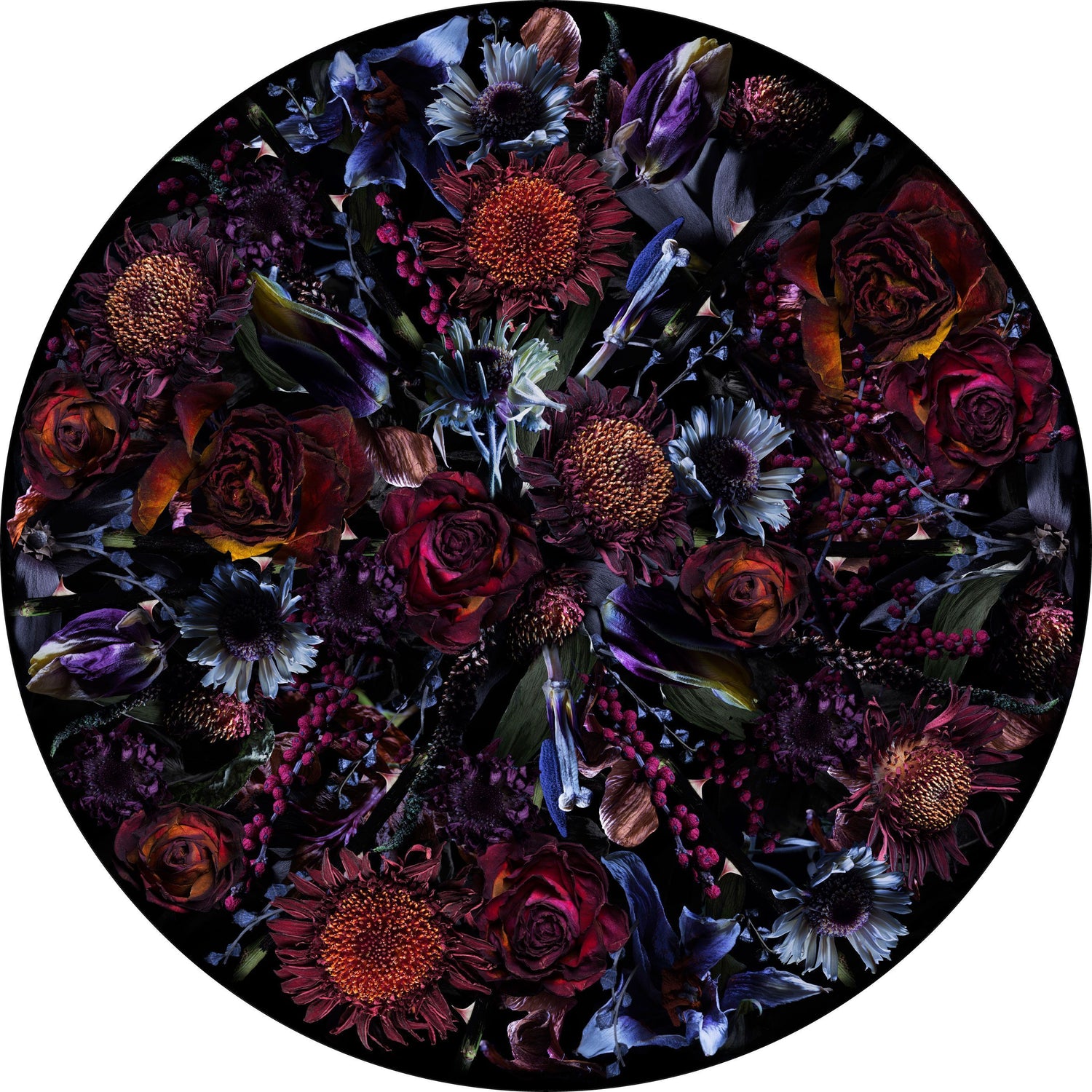 Moooi Carpets Fool's Paradise vloerkleed Ø250 polyamide paars