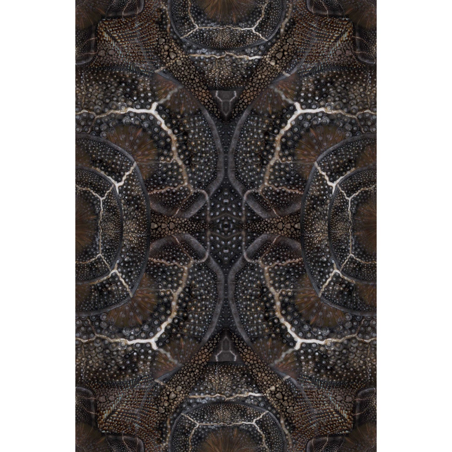 Moooi Carpets Blooming Seadragon vloerkleed 200x300