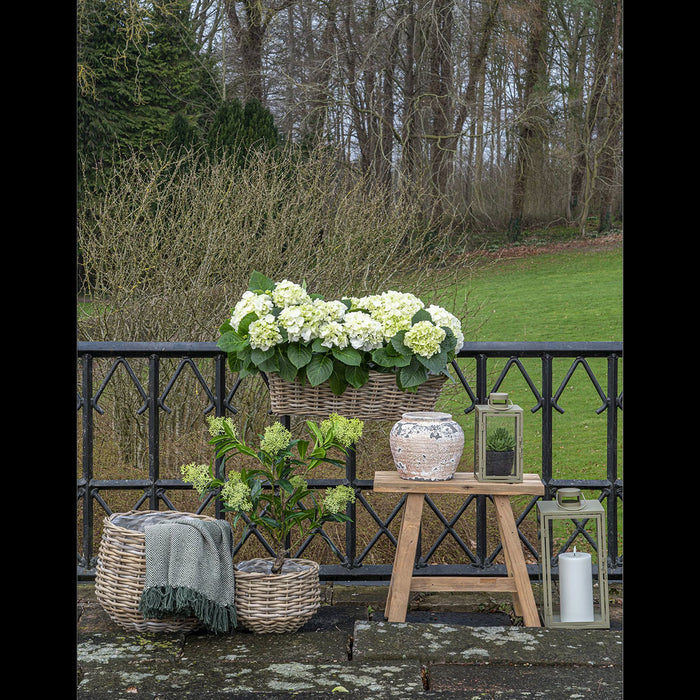 73d43633-52bb-40f5-9224-fedeb9dfc009-afbeelding5.jpg (7942767) 