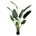 Woood Strelitzia Kunstplant Groen 164 cm