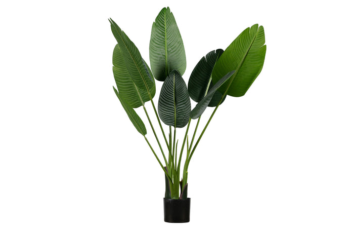 Woood Strelitzia Kunstplant Groen 108 cm