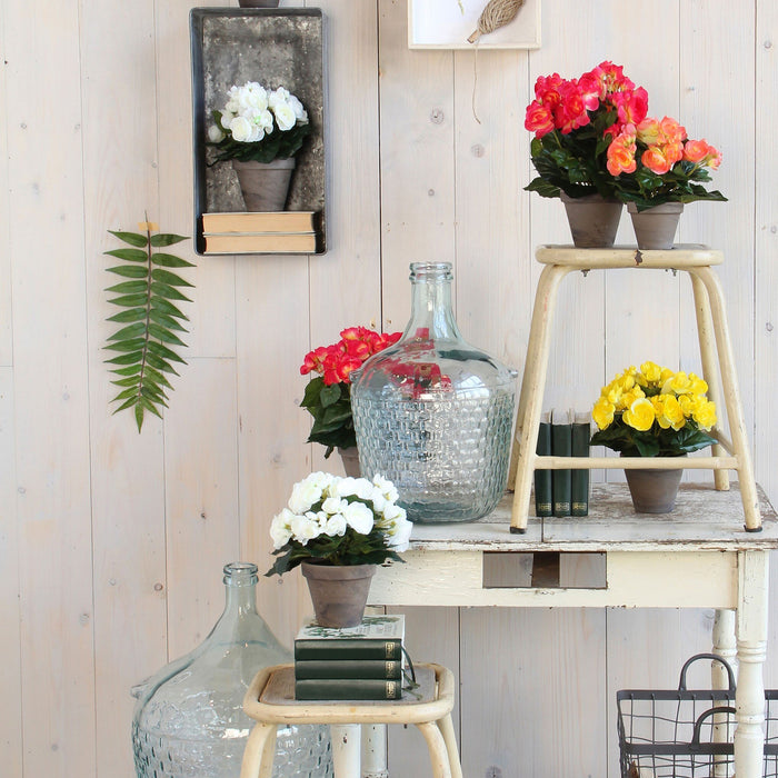 Mica Decorations Begonia Kunstplant - H30 x Ø25 cm - Donkerroze