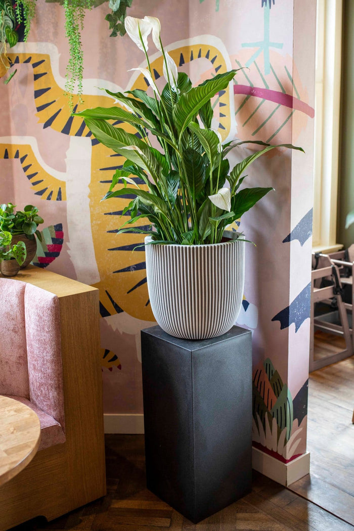 Capi Urban Smooth Pilaar NL zwart 36 x 36 x 79 cm