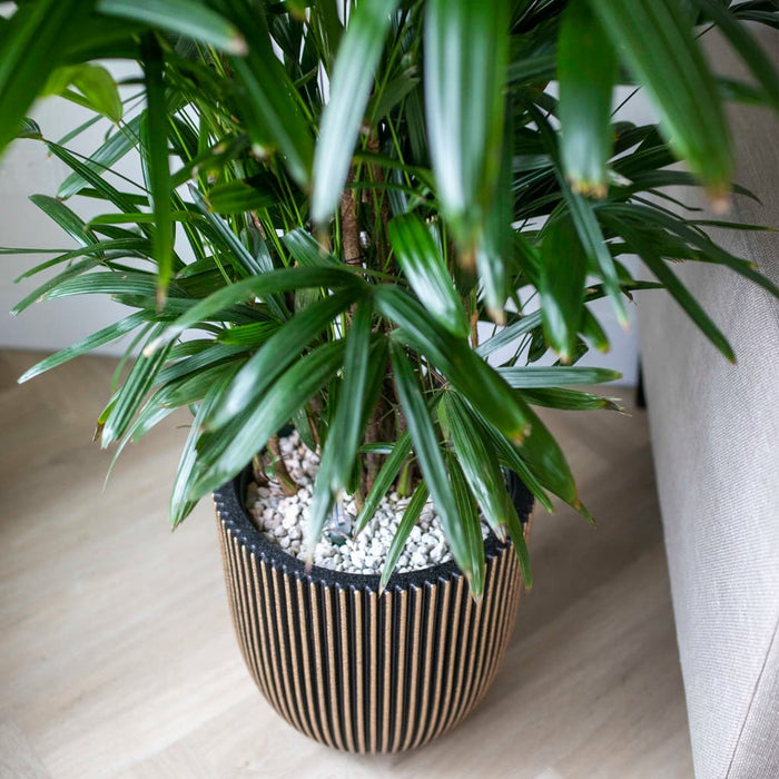 526788e6-9cf4-489a-93c5-e8cc1cdd6ada-afbeelding11.jpg (7960590) 