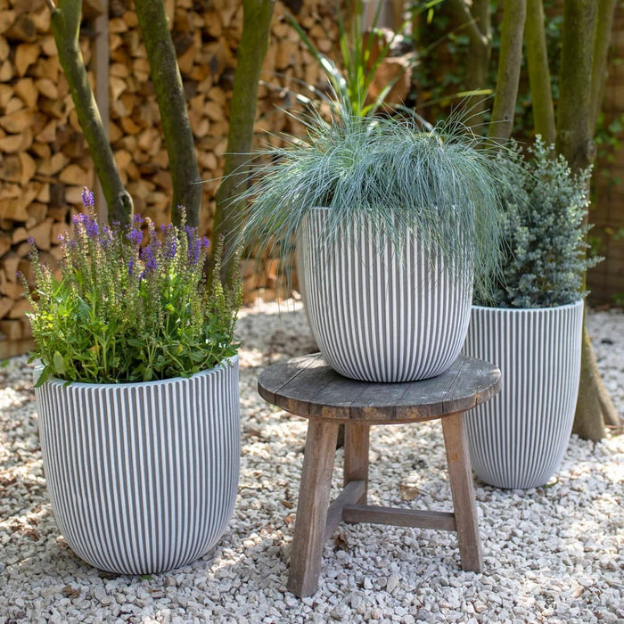 33683713-8dd3-4efe-9f4b-5400f54109e8-afbeelding10.jpg (7960667) 