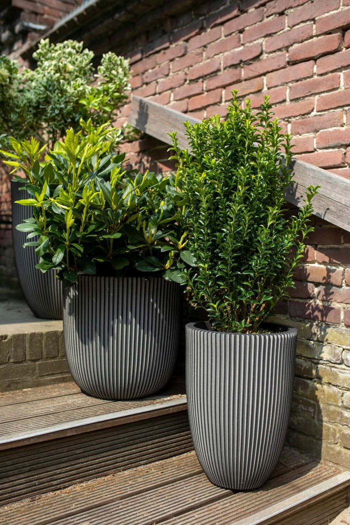 Capi Europe Vaas elegant laag Groove NL - 34x46 - Ivoor