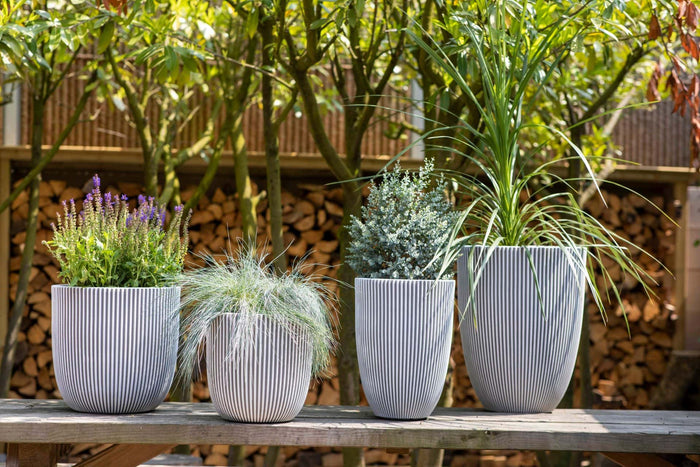 447379ab-3765-437b-b3a1-d92b8c9b3f3c-afbeelding4.jpg (7960847) 