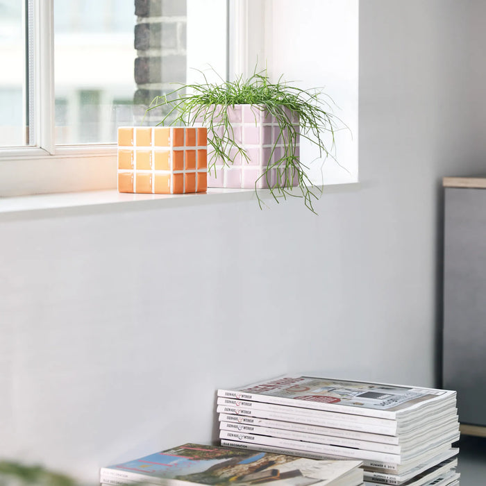 322525-x02.jpg (7996289) 