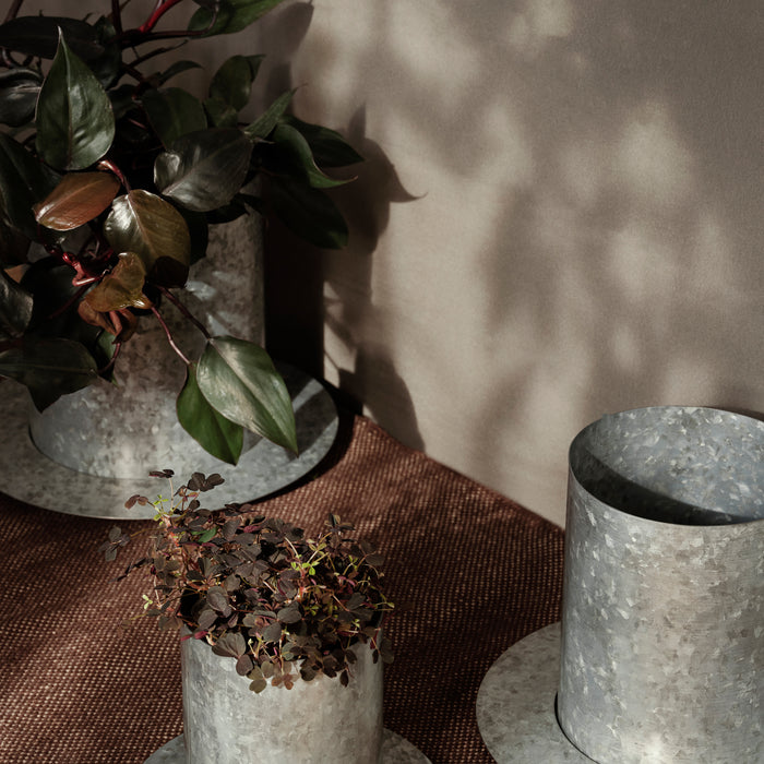 323163-x02-202403020222-A.jpg (8012558) 