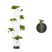 Gusta Garden - Sissi Strawberry - Hangende Planttoren - 4 niveaus