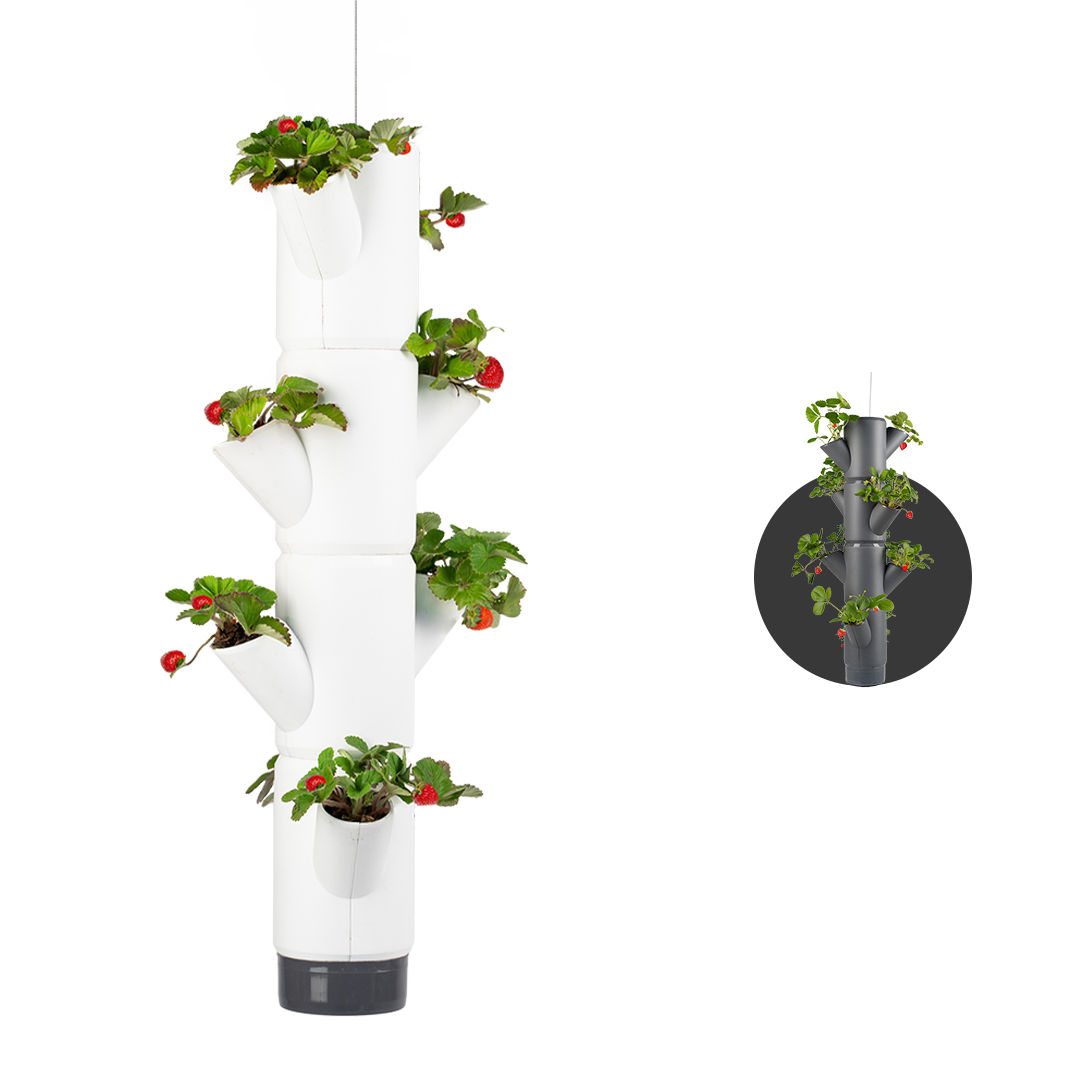 Gusta Garden - Sissi Strawberry - Hangende Planttoren - 4 niveaus