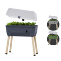 Gusta Garden - Sammy Salad - 15L Slimme bewatering kruidenpot - deksel