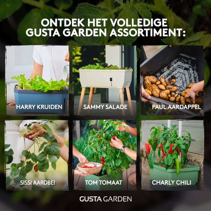 Gusta Garden - Charly Chili - Chiliplanter met watertank