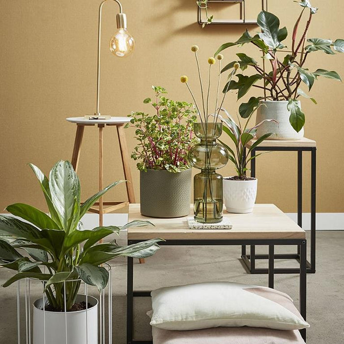 f150d34d-868c-4540-b526-d4c01f9f9bef-sfeerbeeld.jpg (8044032) 