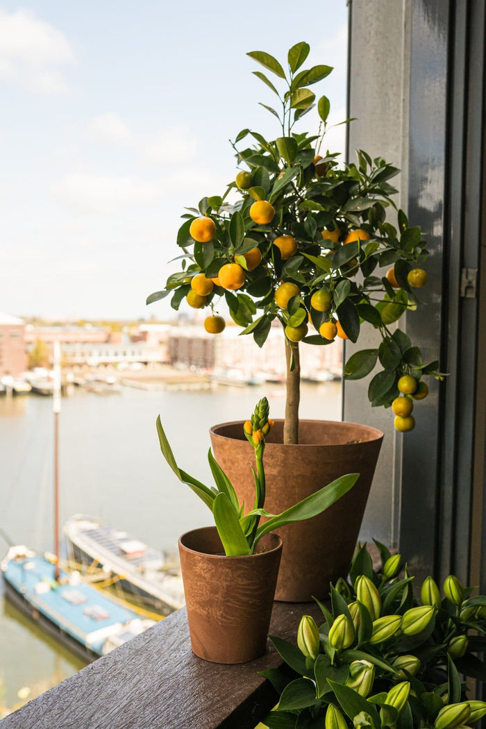 Artstone Bloempot Claire - 43x39 - Zwart