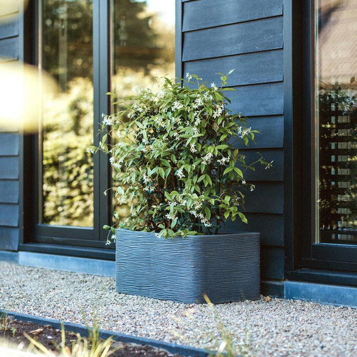 Capi Europe Rib Bloempot 50 x 50 cm