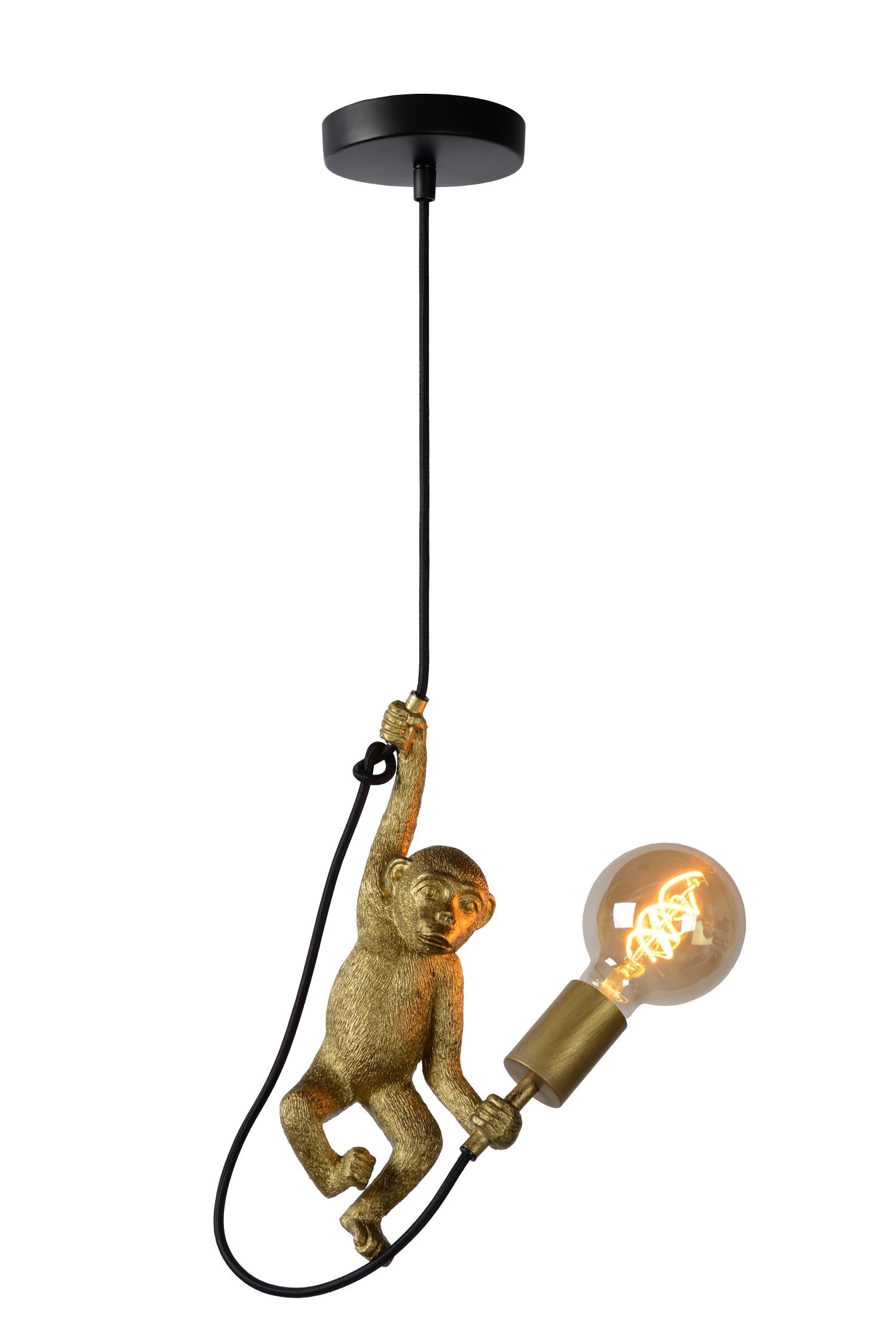 Lucide EXTRAVAGANZA CHIMP Hanglamp - Zwart