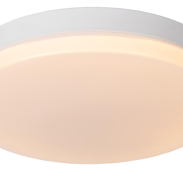 56ae9064-8495-4177-a830-c19e04c26d88-vrijstaandbeeld.jpg (8077828) 