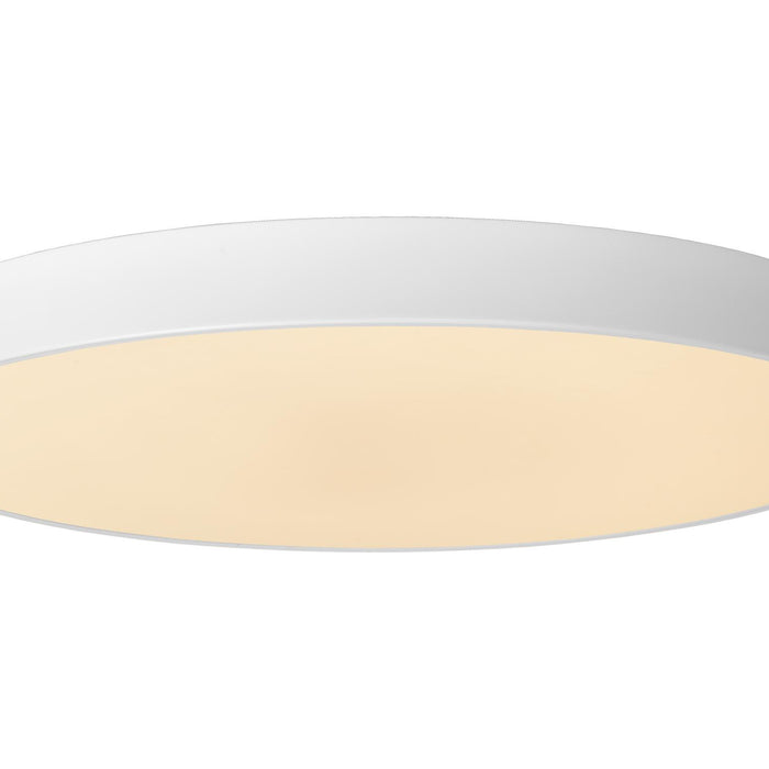 03a165eb-40f0-47f8-9712-063aeb1faabb-vrijstaandbeeld.jpg (8077829) 