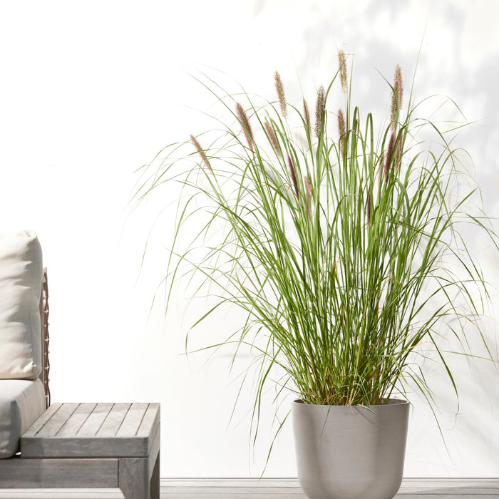 Ecopots Oslo 25  Taupe