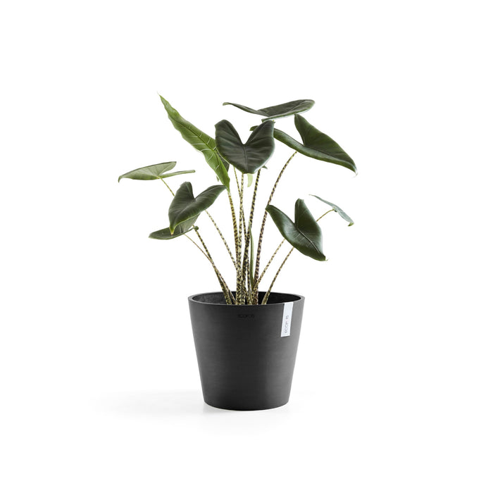 Ecopots Amsterdam 25 Dark Grey