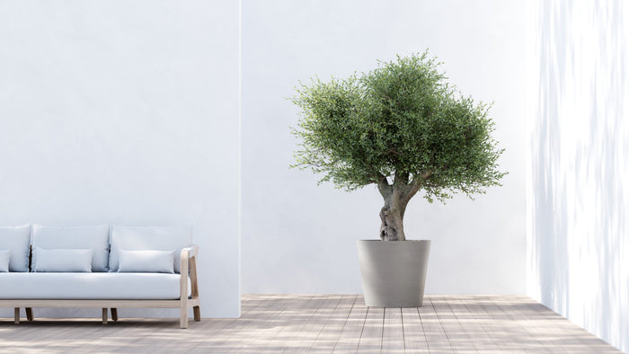 Ecopots Amsterdam 70 Taupe