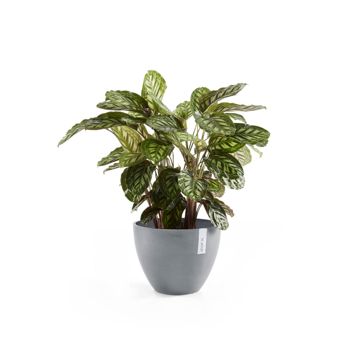 Ecopots Antwerp 50  Blue Grey