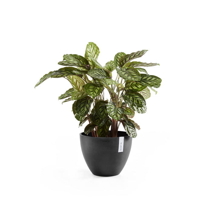 Ecopots Antwerp 50 Dark Grey