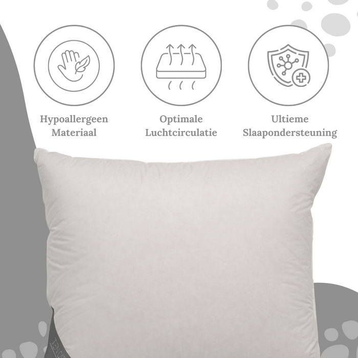 Ten Cate Double Face Eendendonzen Hoofdkussen 60x70 cm