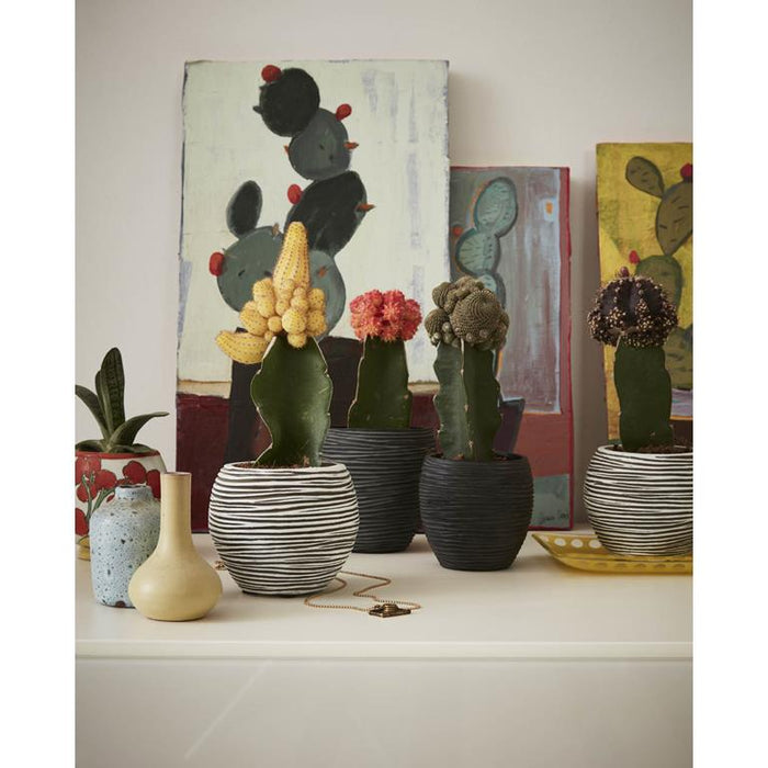 bf199299-d8f2-46ed-8d0f-e26174daed3c-sfeerbeeld.jpg (8123018) 