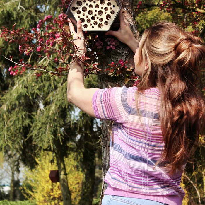 Capi Europe Biodiversity Bijenhotel - Antraciet